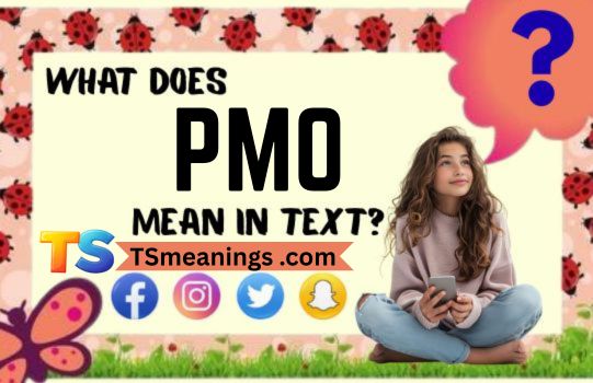What Does PMO Mean in Text
