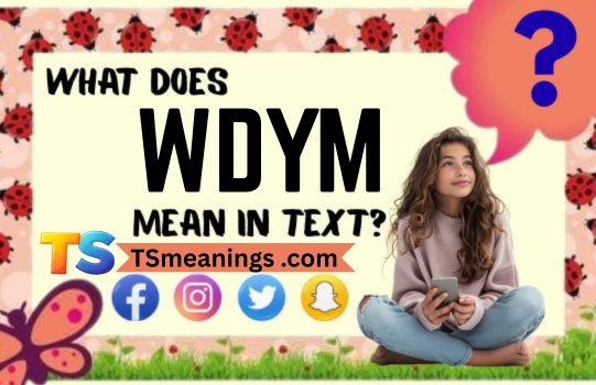 What Does WDYM Mean in Text
