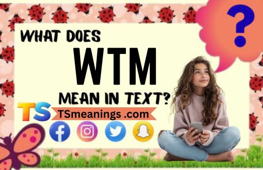 What Does WTM Mean in Text