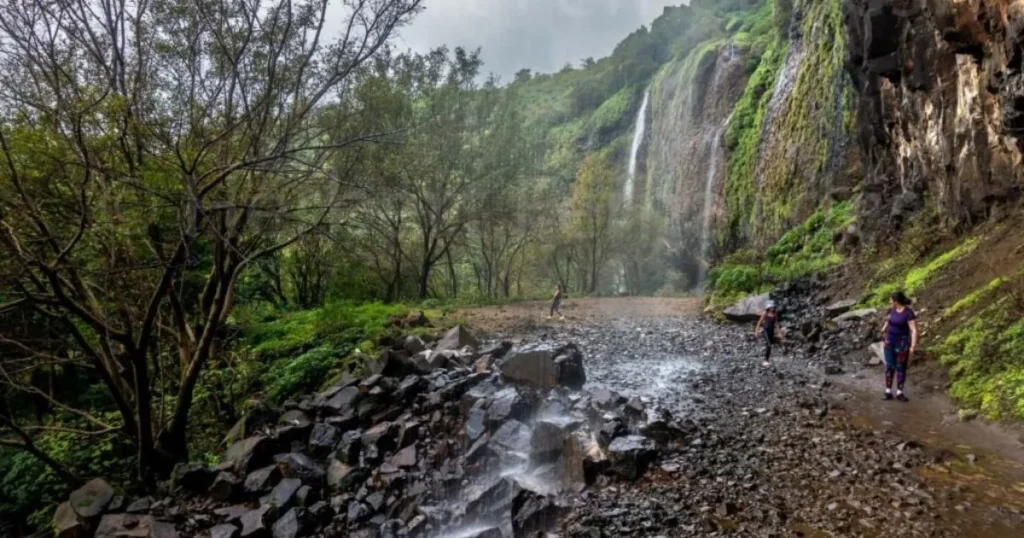 Scenic Konkan nature during the monsoon