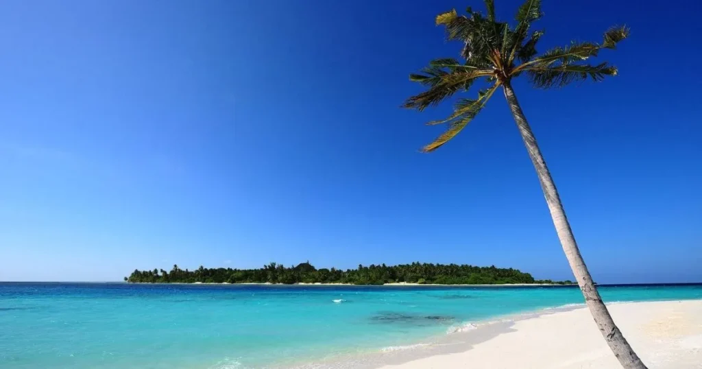 Beautiful Goa coastline with crystal-clear water and palm trees